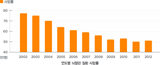 수치로 보는 뇌혈관 (아래 테이블 참조)