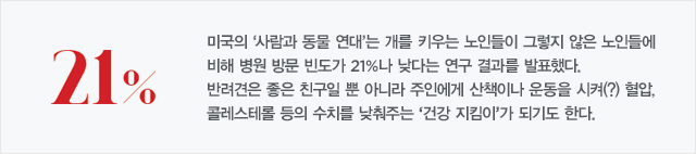 미국의‘사람과 동물 연대’는 개를 키우는 노인들이 그렇지 않은 노인들에 비해 병원 방문 빈도가 21%나 낮다는 연구 결과를 발표했다. 반려견은 좋은 친구일 뿐 아니라 주인에게 산책이나 운동을 시켜(?) 혈압, 콜레스테롤 등의 수치를 낮춰주는‘건강 지킴이’가 되기도 한다.