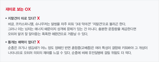재미로 보는 OX(아래 텍스트 참조)