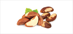 브라질 너트(사진)
