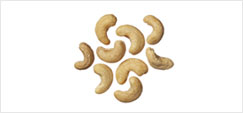 캐슈너트(사진)