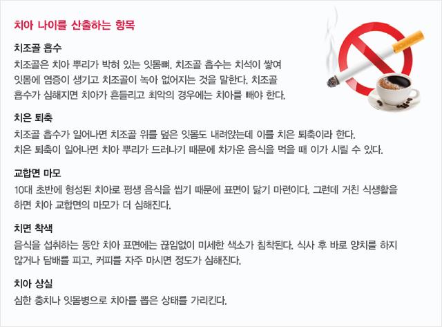 치아 나이를 산출하는 항목 아래 내용 참조