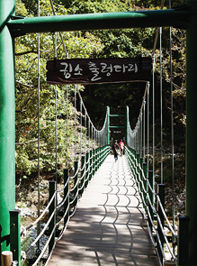 출렁다리