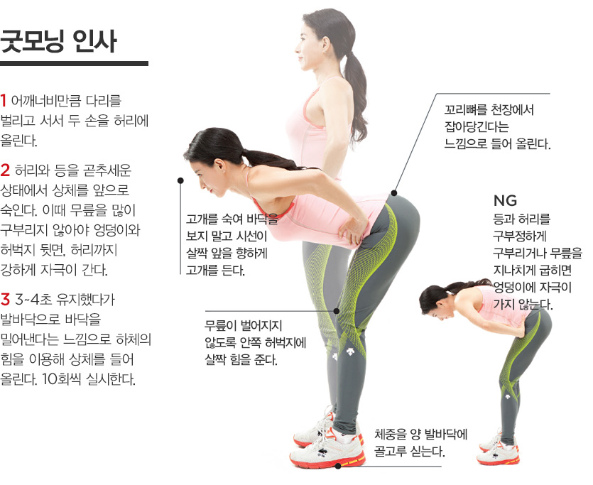 굿모닝 인사 - 1 어깨너비만큼 다리를 벌리고 서서 두 손을 허리에 올린다., 2 허리와 등을 곧추세운 상태에서 상체를 앞으로 숙인다. 이때 무릎을 많이구부리지 않아야 엉덩이와 허벅지 뒷면, 허리까지 강하게 자극이 간다., 3 3~4초 유지했다가 발바닥으로 바닥을 밀어낸다는 느낌으로 하체의 힘을 이용해 상체를 들어올린다. 10회씩 실시한다.