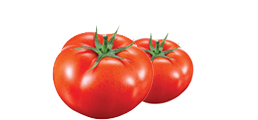 토마토