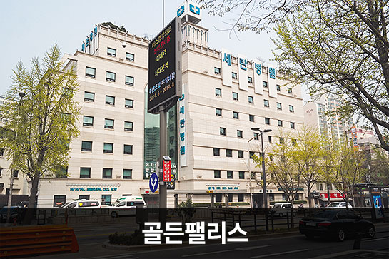 골든팰리스