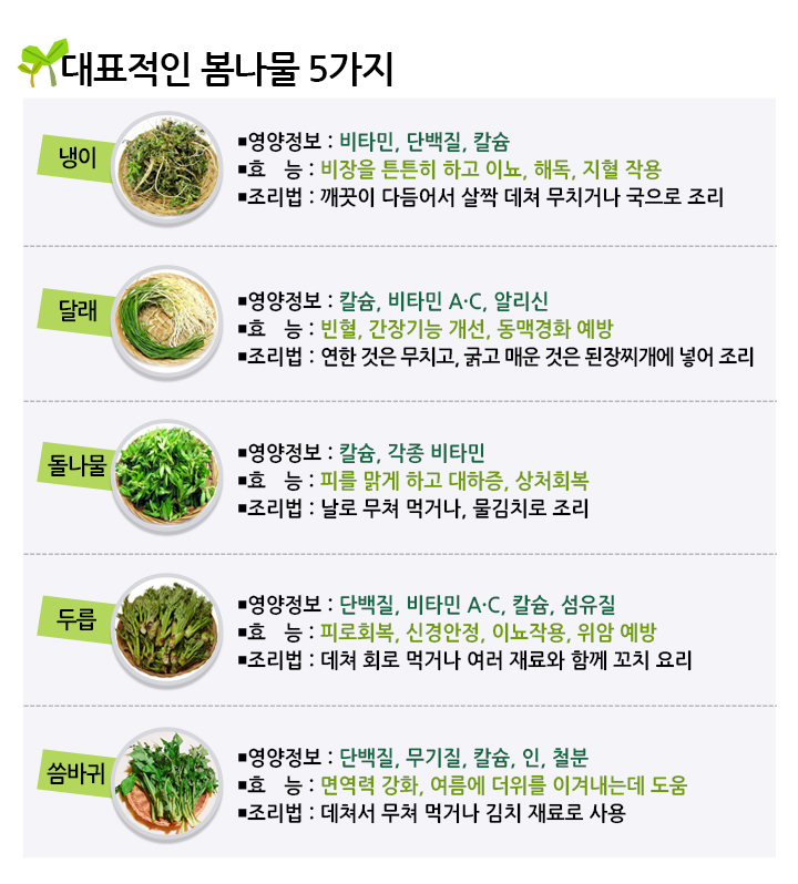 대표적인 봄나물 5가지