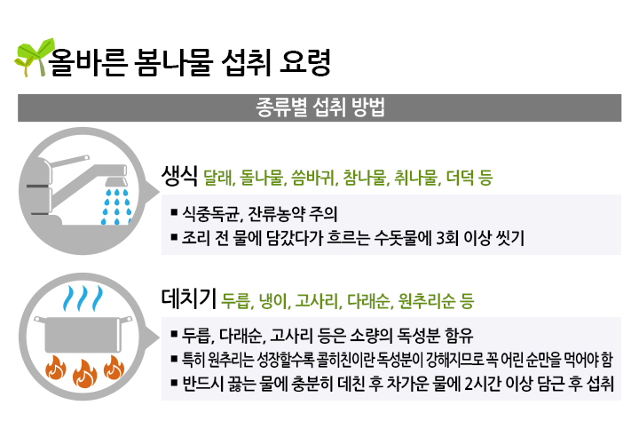 올바른 봄나물 섭취 요령