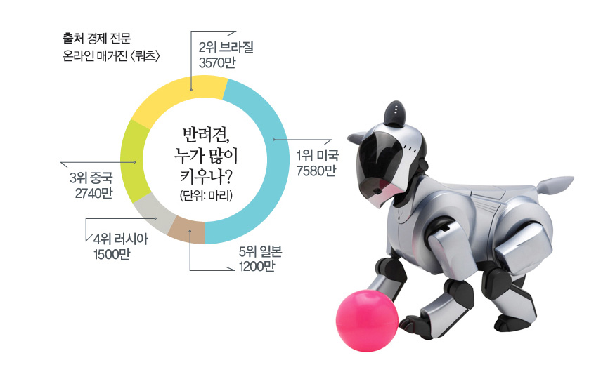 반려견, 누가 많이 키우나? (단위: 마리) - 1위 미국 7580만, 2위 브라질 3570만, 3위 중국 2740만, 4위 러시아 1500만, 5위 일본 1200만