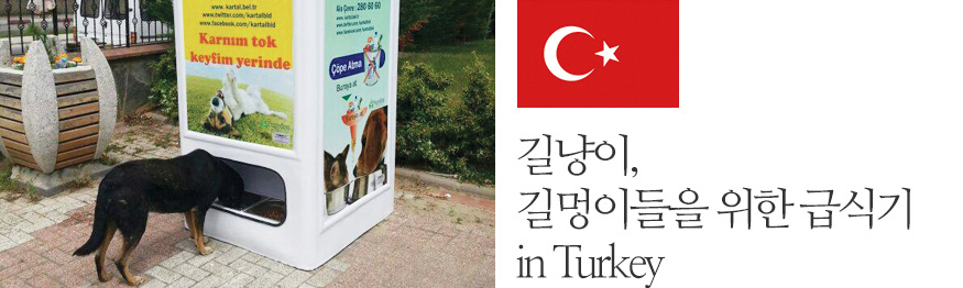 길냥이, 길멍이들을 위한 급식기 in Turkey