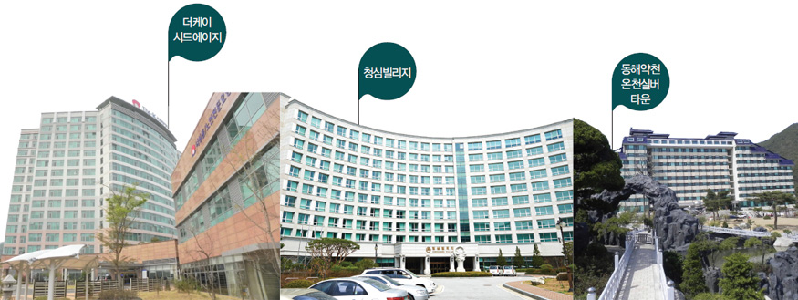 더케이서드에이지, 청심빌리지, 동해약천온천실버타운