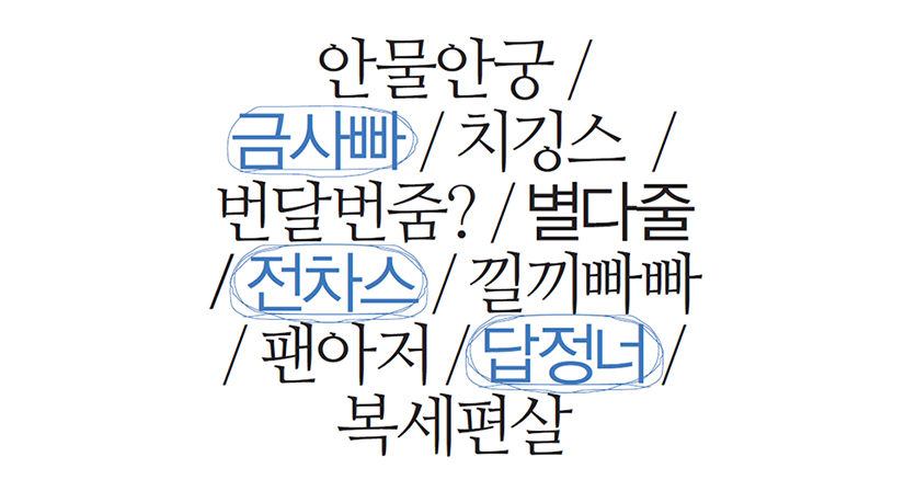 안물안궁, 금사빠, 치깅스, 번달번줌?, 별다줄, 전차스, 낄끼빠빠, 팬아저, 답정너, 복세편살