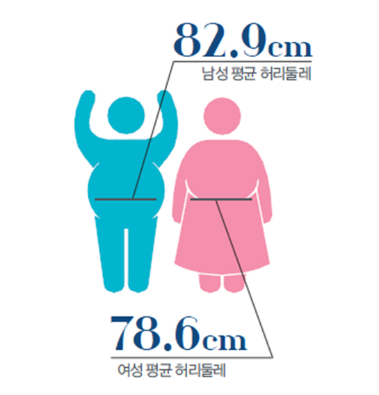 남성 평균 허리둘레 83.9cm, 여성 평균 허리둘레 78.6cm