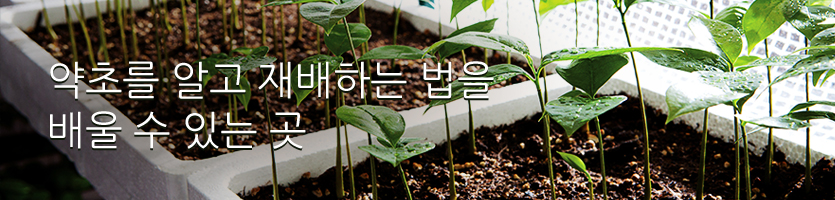 약초를 알고 재배하는 법을 배울 수 있는 곳