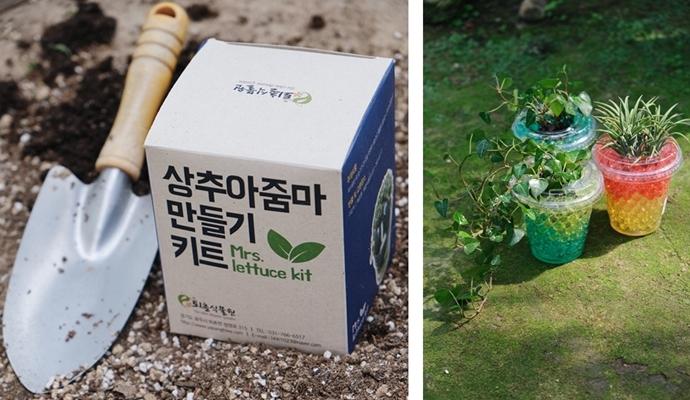 퇴촌식물원에서는 에듀팜 프로그램으로 상추아줌마와 워터젤리 프로그램을 기획해 진행한다.